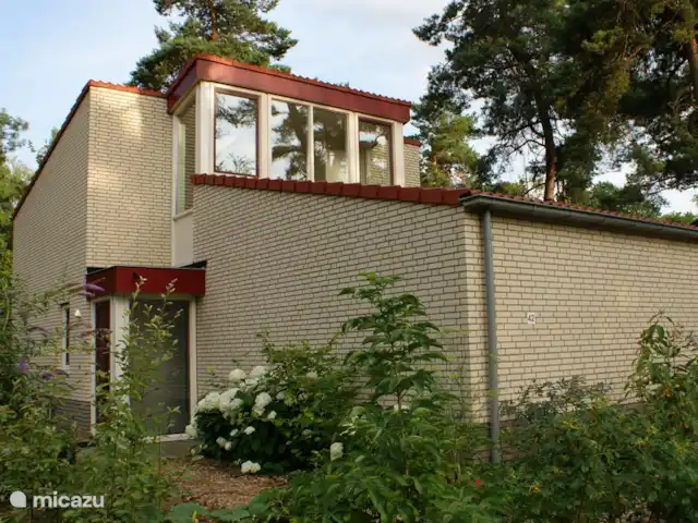 Rondom het huis variëren we zoveel mogelijk met aanplant en bloemen. Ieder moment bloeit er weer wat anders.